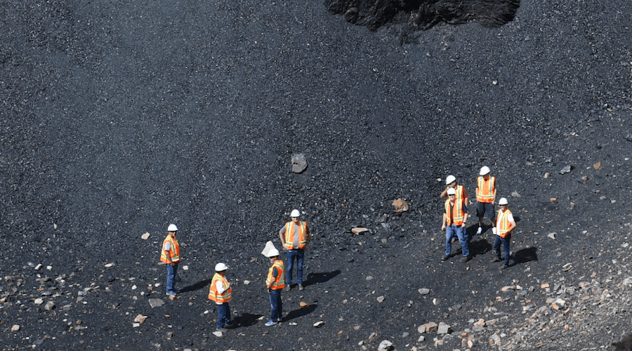 Alberta coal mines gravely threaten fish, study shows
